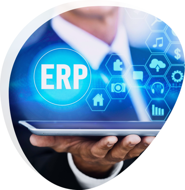 ERP/ CRM Development